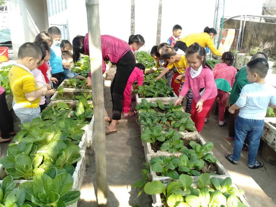 Trường mầm non Hoa Thủy Tiên