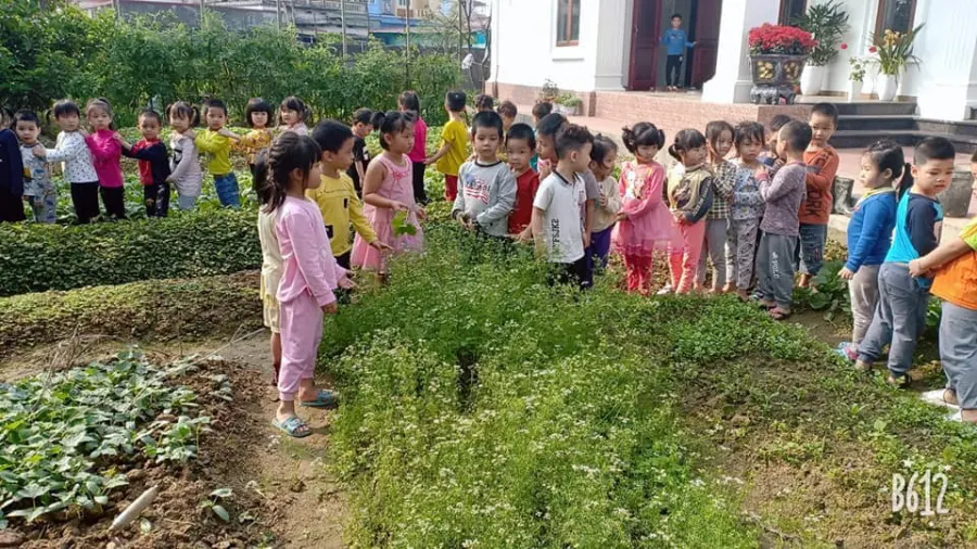Trường mầm non Kim Long