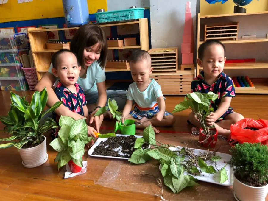 Trường Mầm Non Đại Dương Xanh