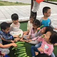 Trường mầm non tư thục Ngôi Nhà Mặt Trời
