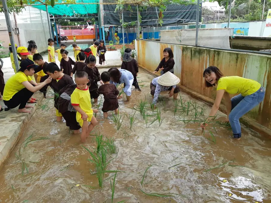 Trường mầm non Hoa Hướng Dương