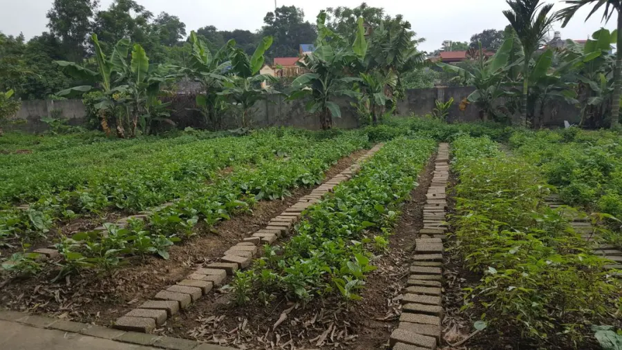 Trường mầm non Hoa Hồng