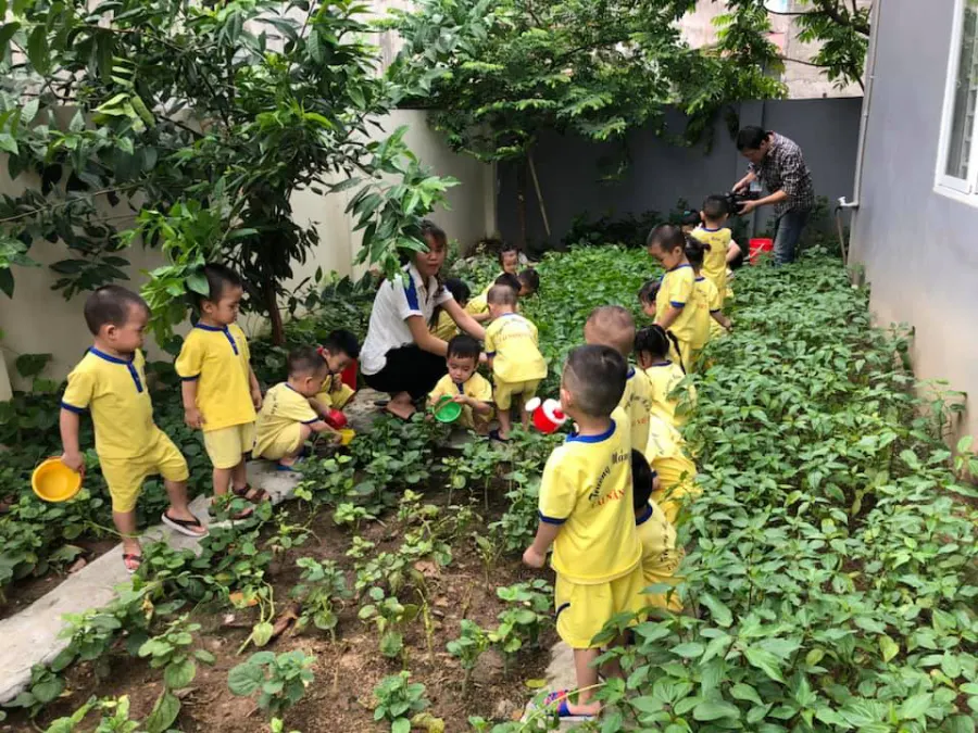 Trường mầm non Tài Năng Việt
