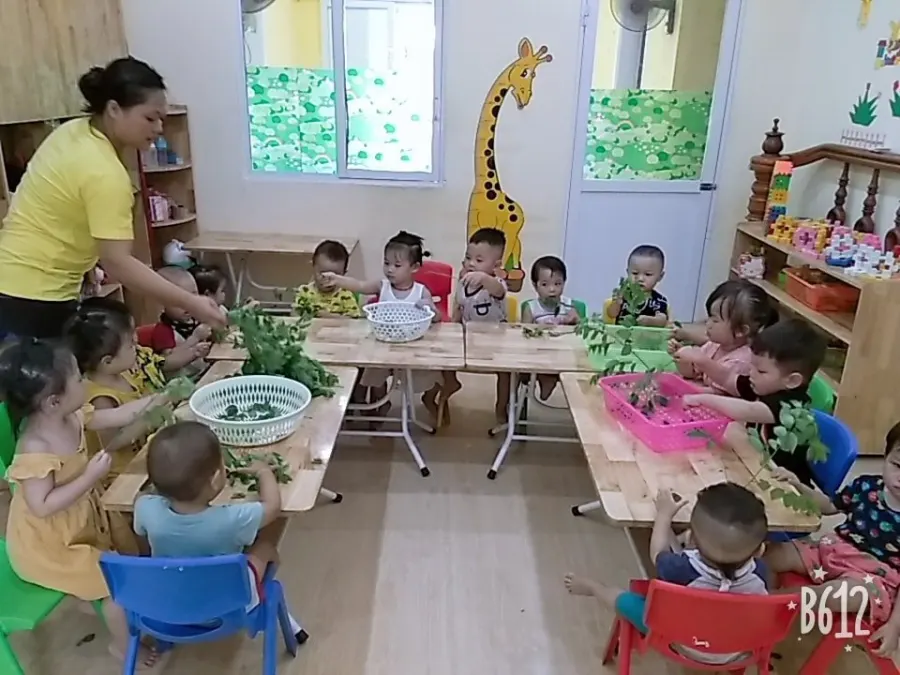 Trường mầm non Vietkids