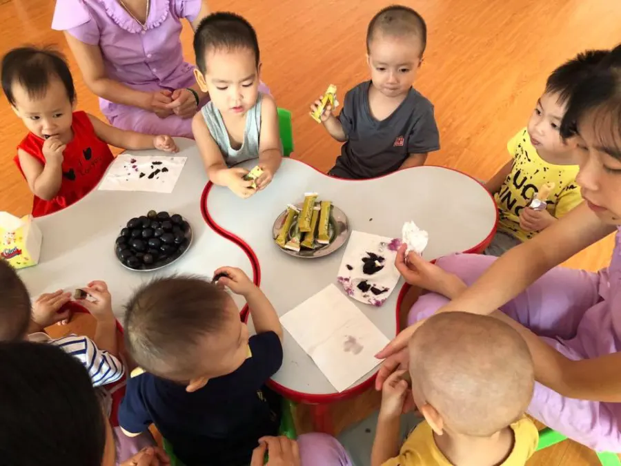 Trường mầm non Hoa Phượng