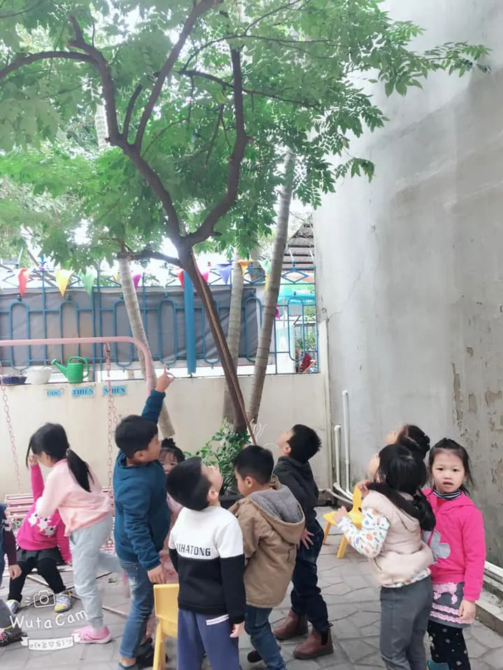 Trường mầm non Gấu Trúc Nhỏ