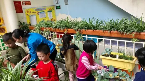 Trường mầm non Nắng Mai