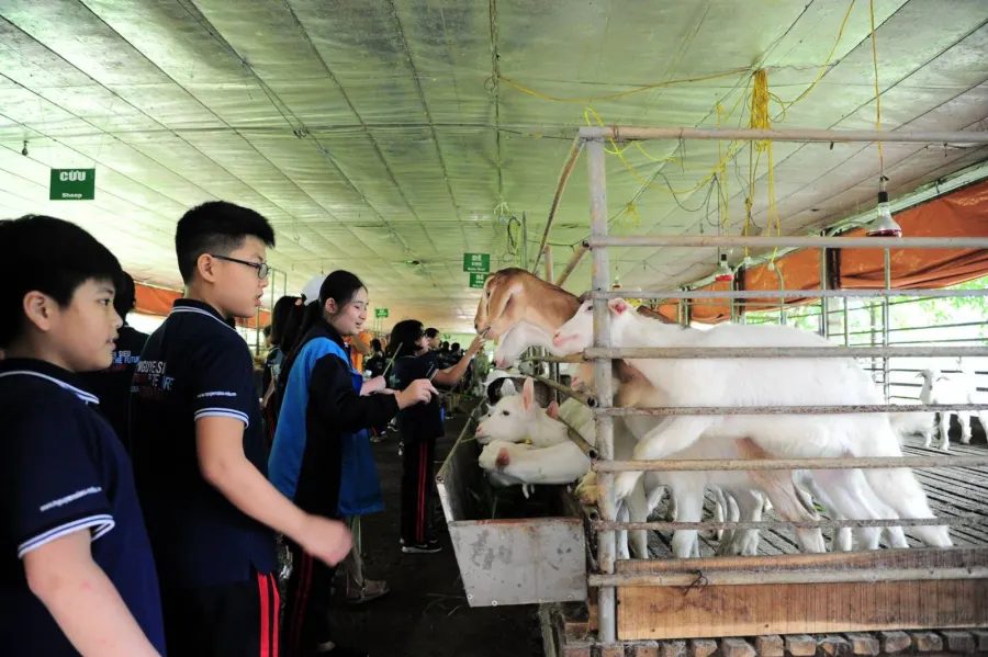 Trường Tiểu học, THCS & THPT Nguyễn Siêu