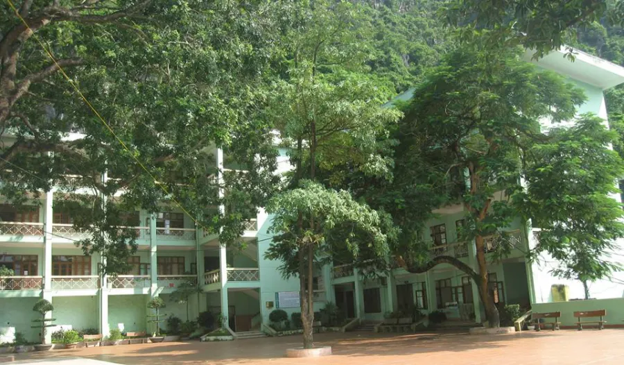 Trường tiểu học Hạ Long