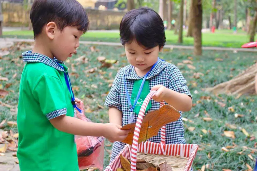 Mầm Non Lá Phong Xanh An STEM (The Maple Leaf Montessori Academy & STEM Academy)