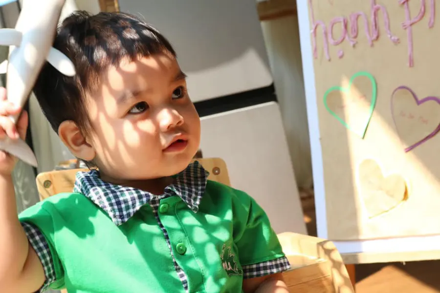 Trường mầm non Lá Phong Xanh Ecopark ( MLA The Maple Leaf International shool )