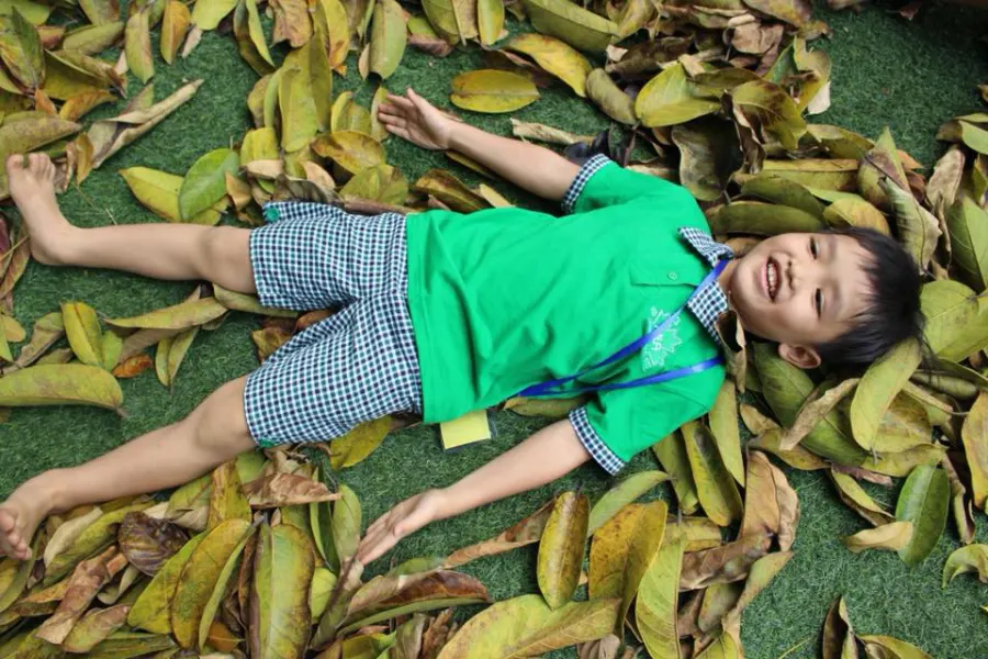 Trường mầm non Lá Phong Xanh Ecopark ( MLA The Maple Leaf International shool )