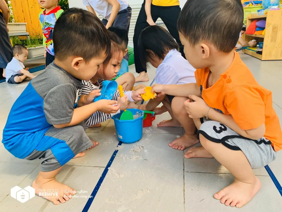 Hệ thống mầm non THE GOLD BEEHIVE -Bùi Thị Xuân