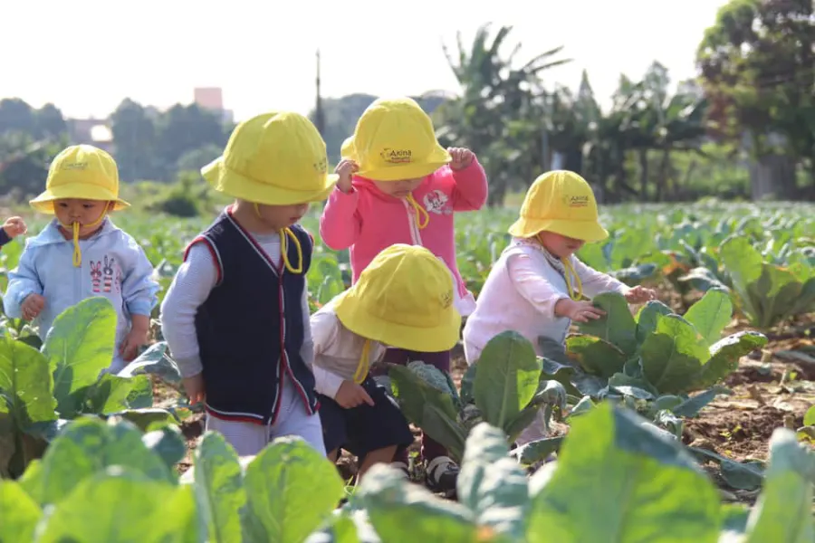 Trường mầm non Akina (Akina Reggio Emilia Inspired Preschool)