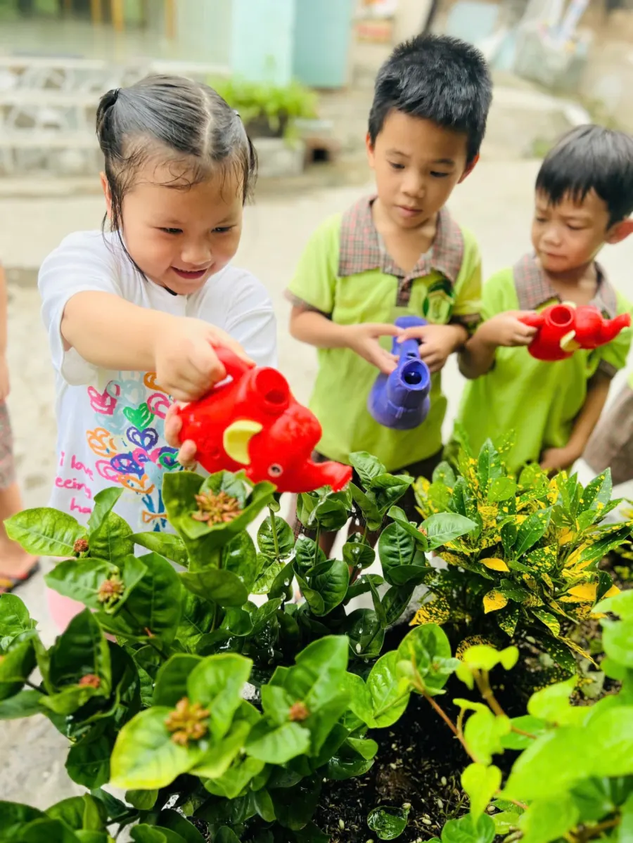 Trường mầm non Thỏ Nâu