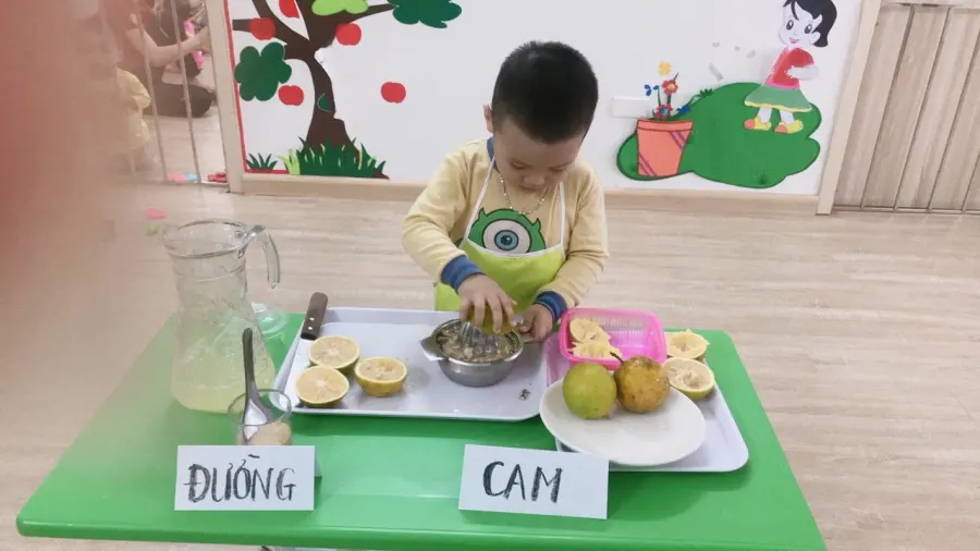 Trường mầm non Song ngữ Học Viện Trẻ Thơ - KIDS ACADEMY - KĐT Thanh Hà