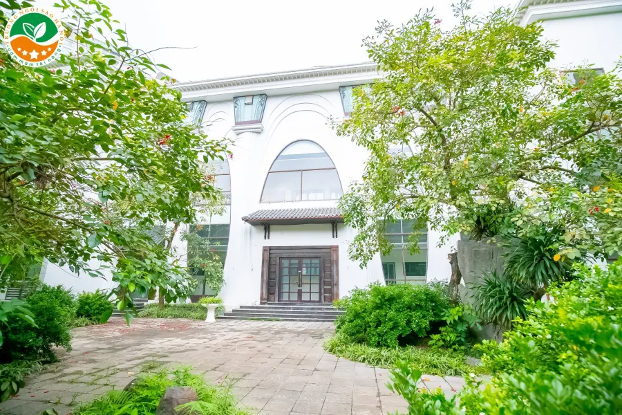 Trường Liên cấp Tiểu học & THCS Ngôi Sao Hà Nội