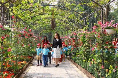 Trường mẫu giáo Hoa Hồng