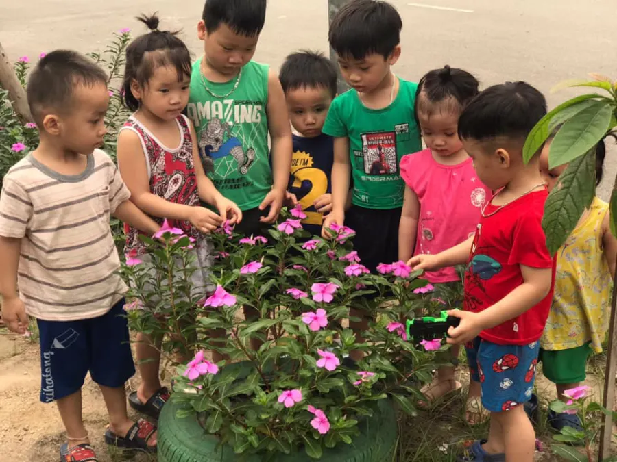 Mầm non Cánh Diều Ứớc Mơ - Khu TĐC Đông Hội