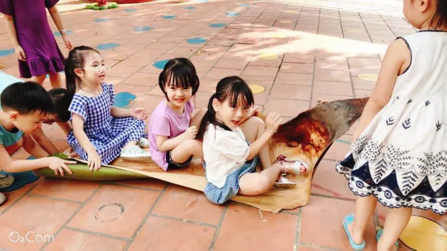 Trường Trường MN Việt Hà