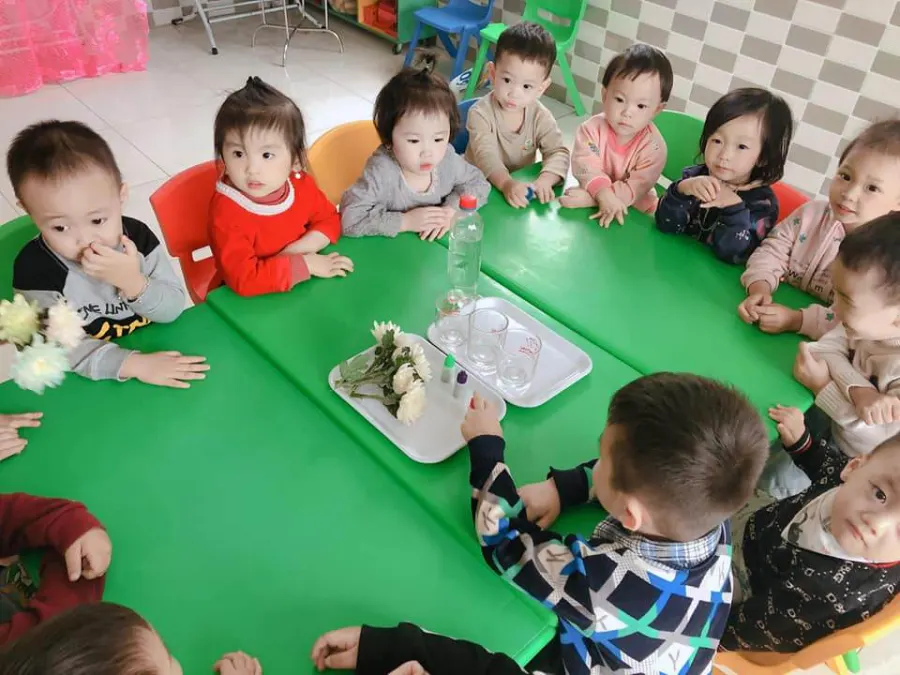 Trường mầm non Giáo dục sớm Hoa Sen Minh Hải