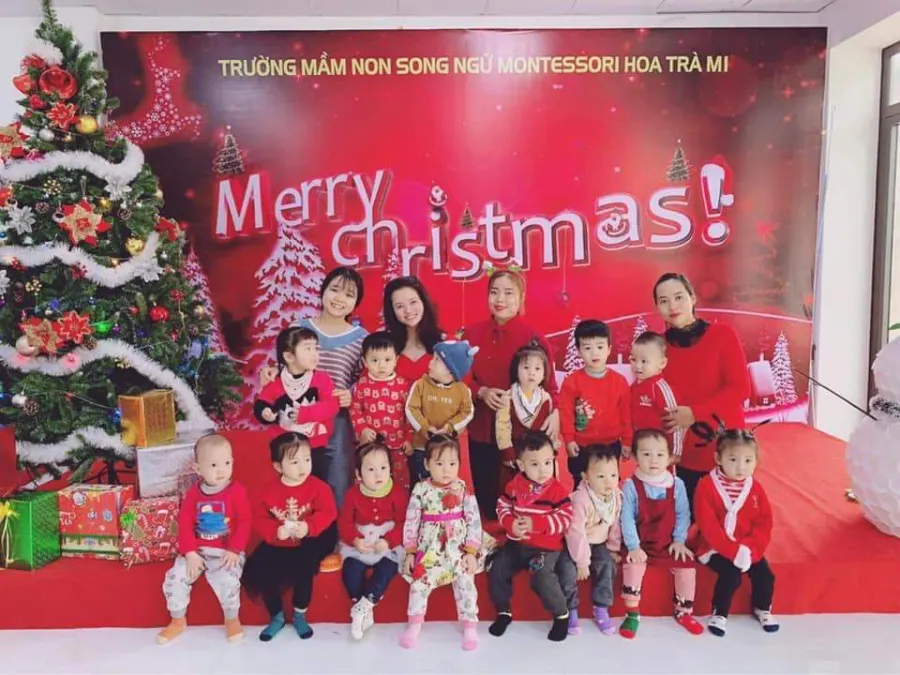 Mầm Non Hoa Trà Mi