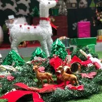 Trường mầm non tư thục Hoa Thủy Tiên