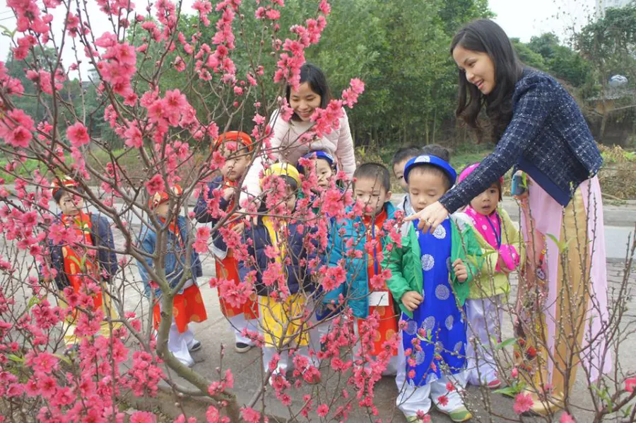 Hệ thống giáo dục ASG (American School)
