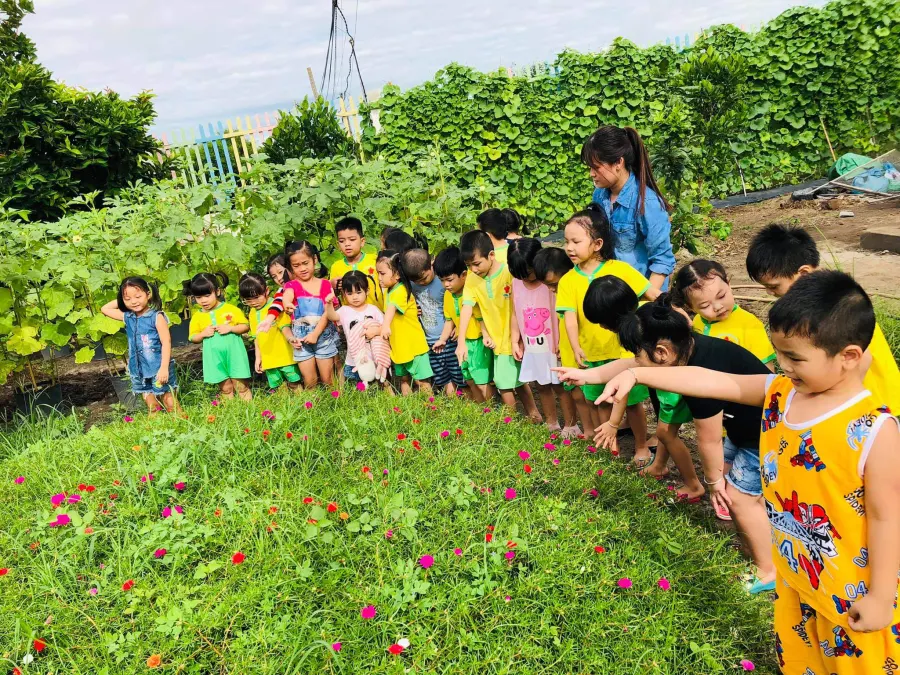 Trường mầm non Sao Mai - TT Đức Hòa