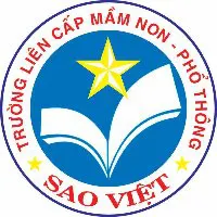 Trường Mầm Non Sao Việt - Pleiku