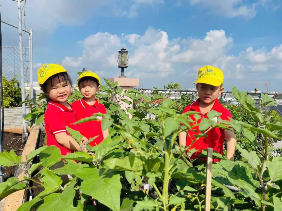 Trường Mầm Non Tuổi Thơ Montessori - Bình Hòa