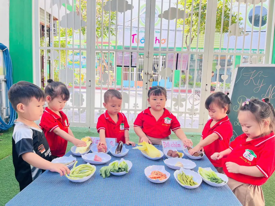 Trường Mầm Non Tuổi Thơ Montessori - Bình Hòa