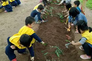 Trường mầm non Ánh Sao