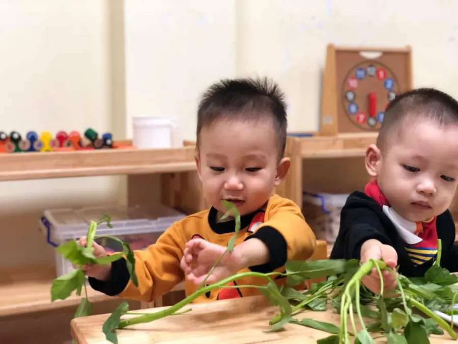 Trường mầm non Sun Academy - Dịch Vọng