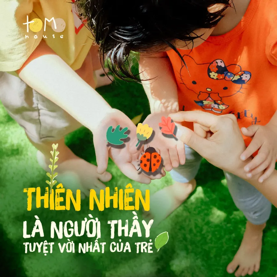 Trường mầm non TOMO HOUSE Preschool Vietnam