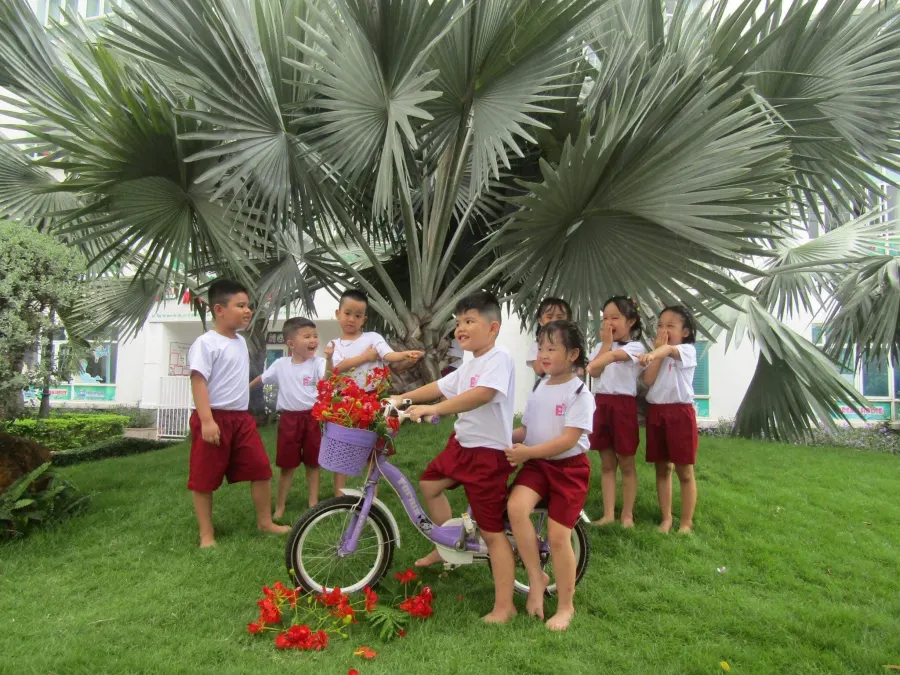 Trường Mầm Non Ngôi Nhà Mơ Ước (Preschool Dream House )
