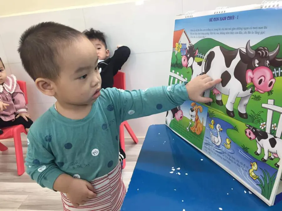 Mầm Non Thanh Bình