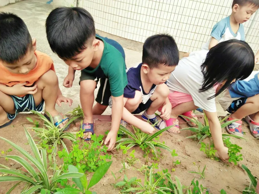Trường mầm non Thiên Đức - KĐT Xa La