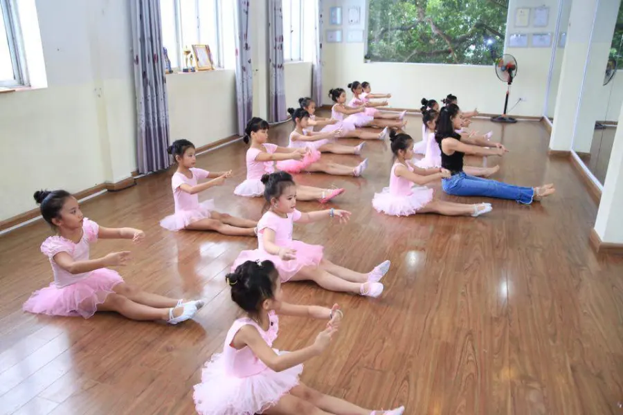 Trung Tâm Năng Khiếu Tài Năng Việt