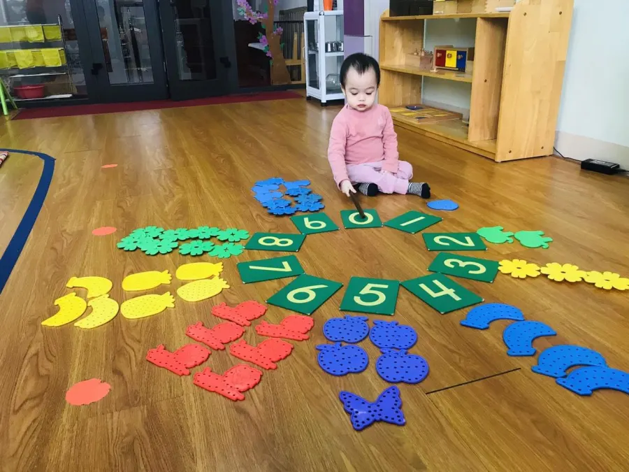 Trường mầm non quốc tế Việt Anh Montessori (cơ sở 2 và 3)