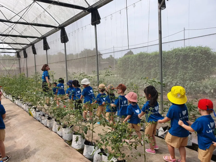 Trường Mầm Non Lami Montessori - Gia Thụy