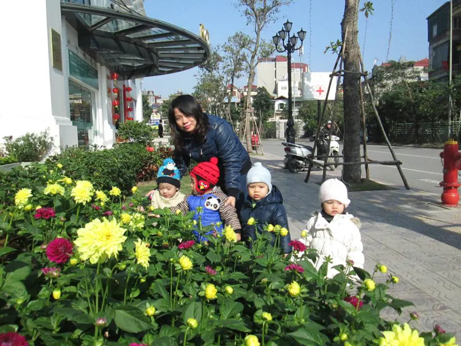 Hệ thống giáo dục ASG (American School)