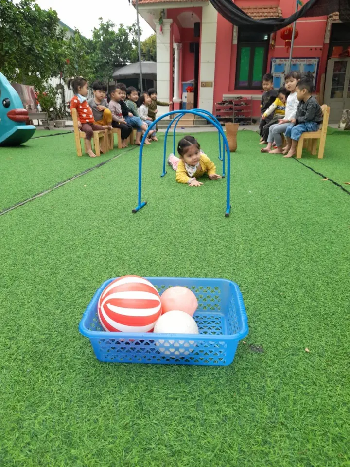 Trường Mầm Non Tư Thục CLC Hoa Mai 2