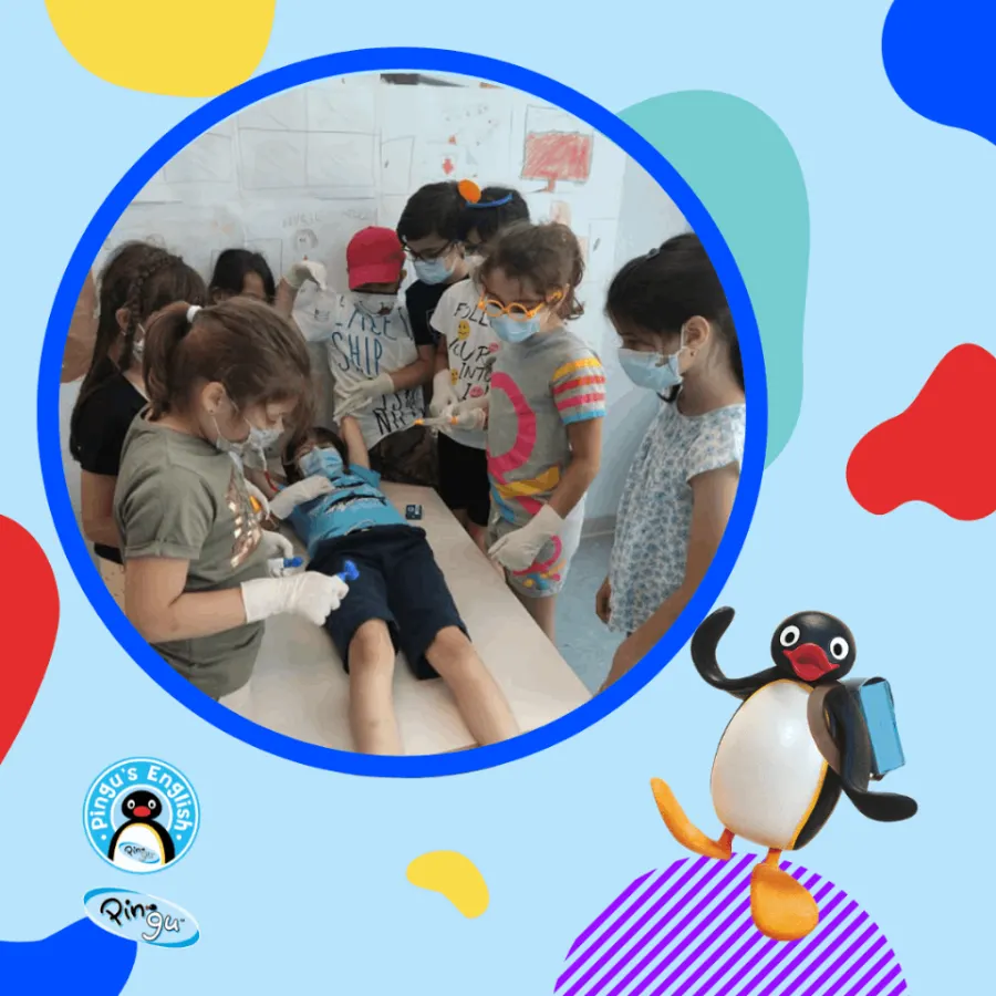 Pingu's English Hải Dương