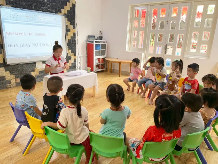 Trường Mầm non Việt Mỹ Anh EVS - Phường 8