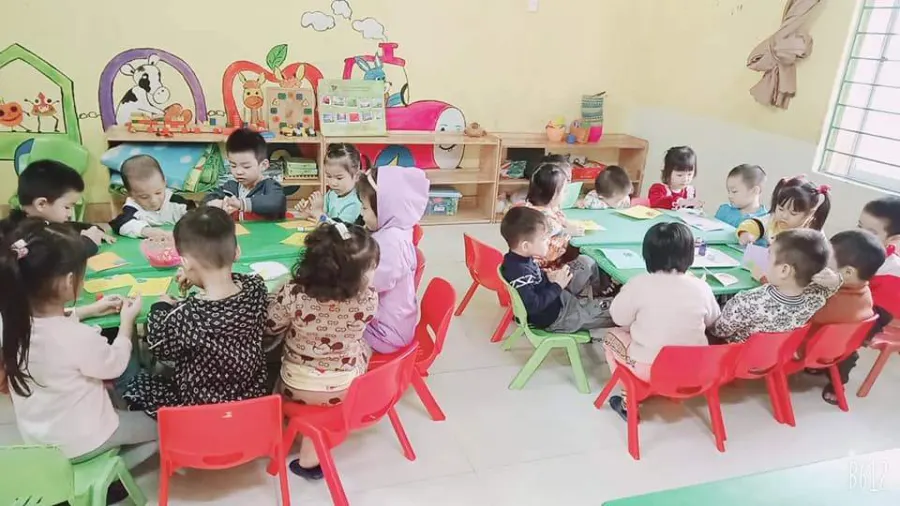 Mầm non Baby House