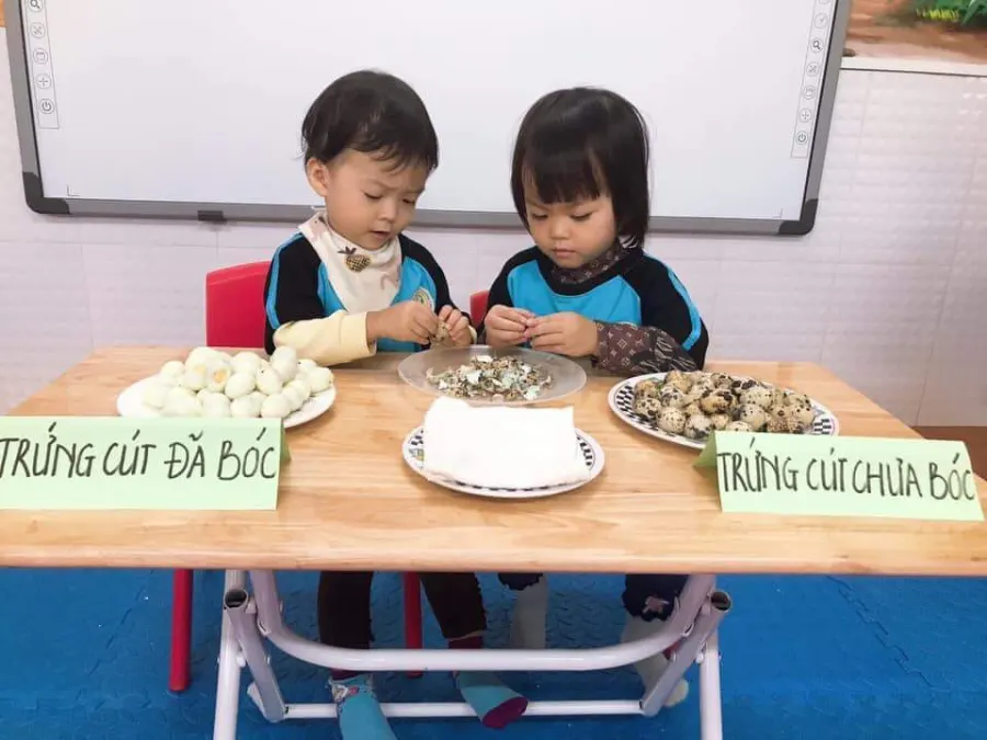 Trường Mầm Non Đô Rê Mon MN