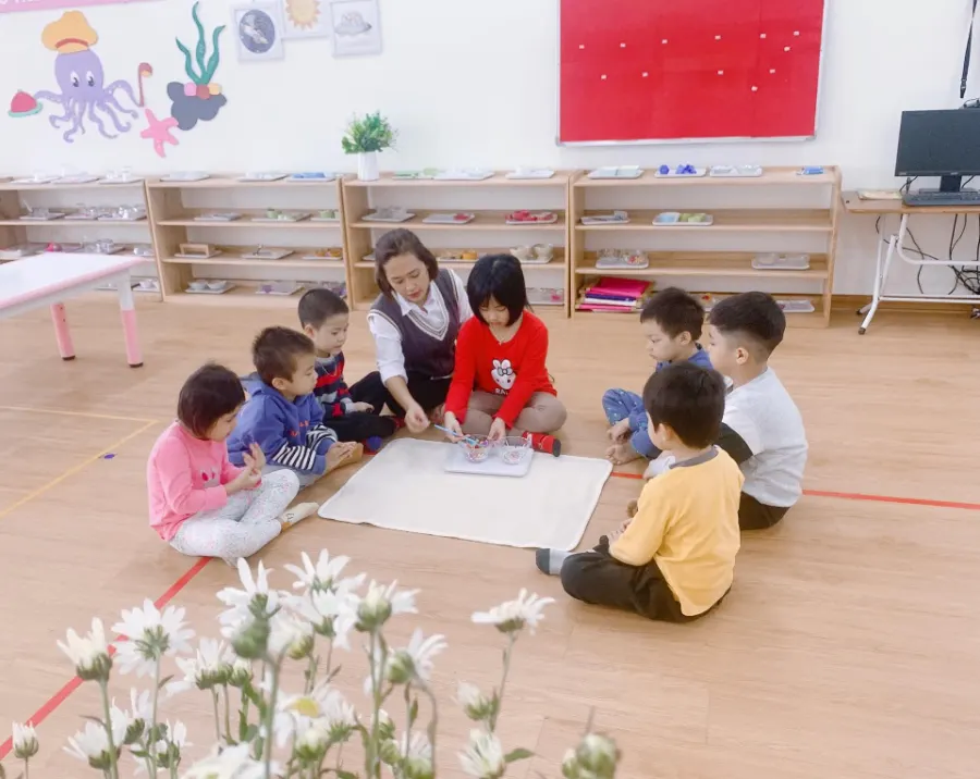 Mầm Non Hoa Sen (Hoa Sen Montessori)