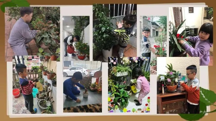 Trường Tiểu Học Nguyễn Tri Phương