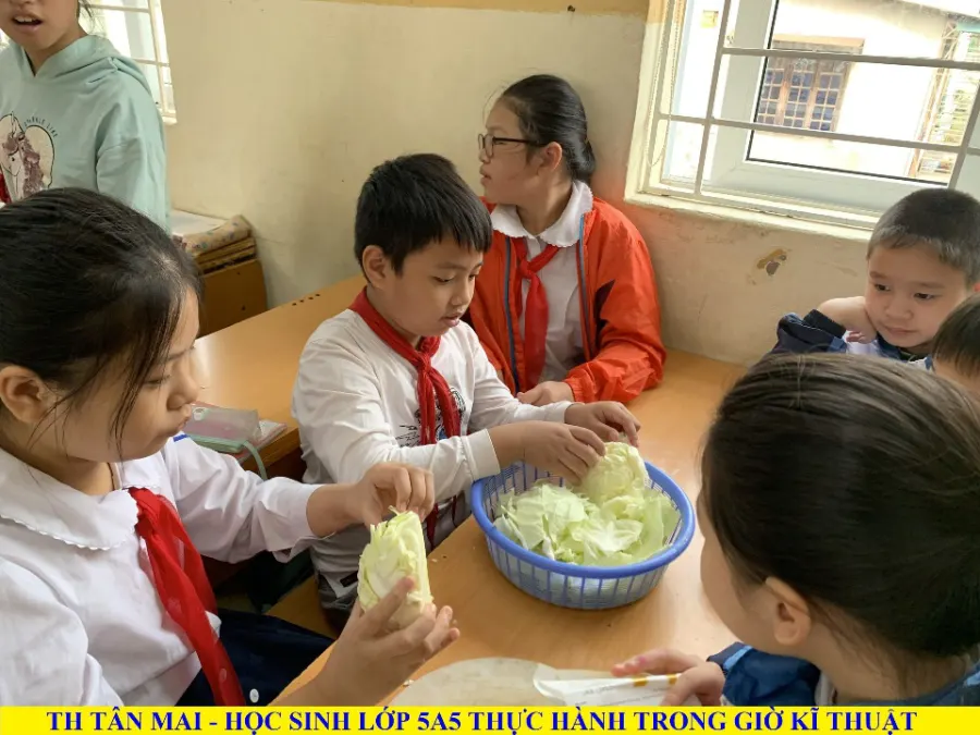 Trường Tiểu học Tân Mai
